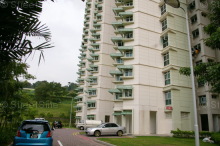 Blk 393 Bukit Batok West Avenue 5 (Bukit Batok), HDB 5 Rooms #339712